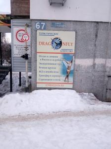 Фотография Стрекоза 4