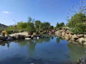 Фотография Софт Тур 1