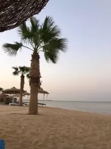 Фотография World Travel 0